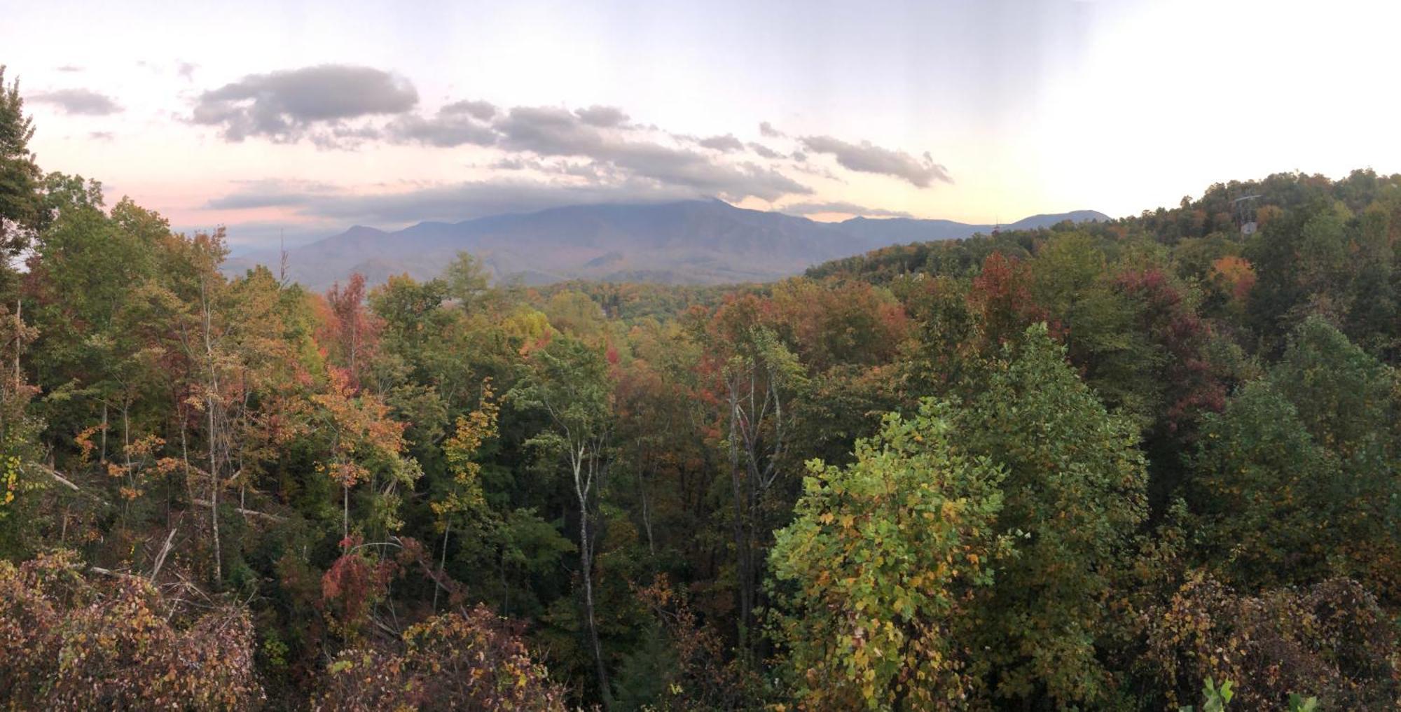 Private Chalet in Gatlinburg, Awesome Views, Work Desk, Wifi, Hot Tub&Dog-Friendly Exterior foto